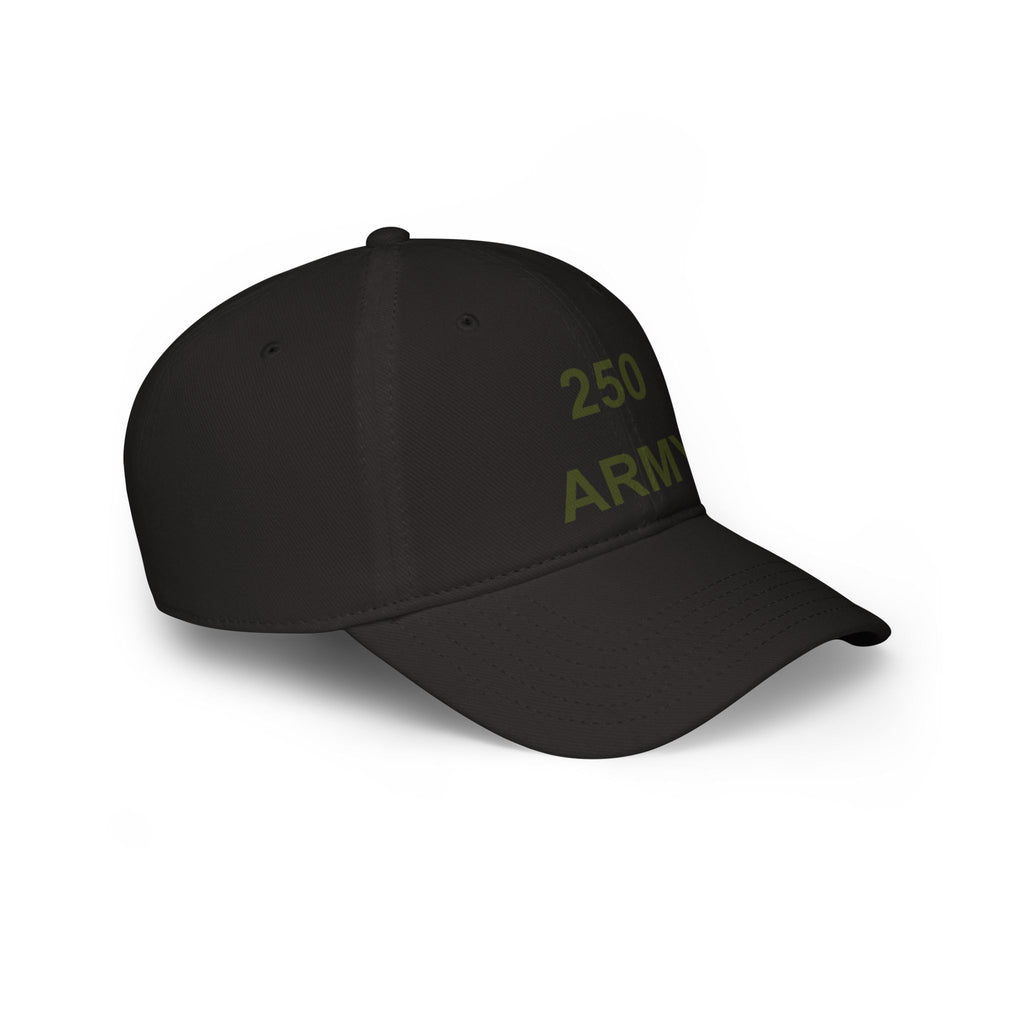 250 Army Low Profile Baseball Cap — Military Dad Veteran Hat